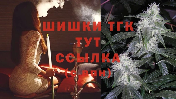 ECSTASY Краснотурьинск